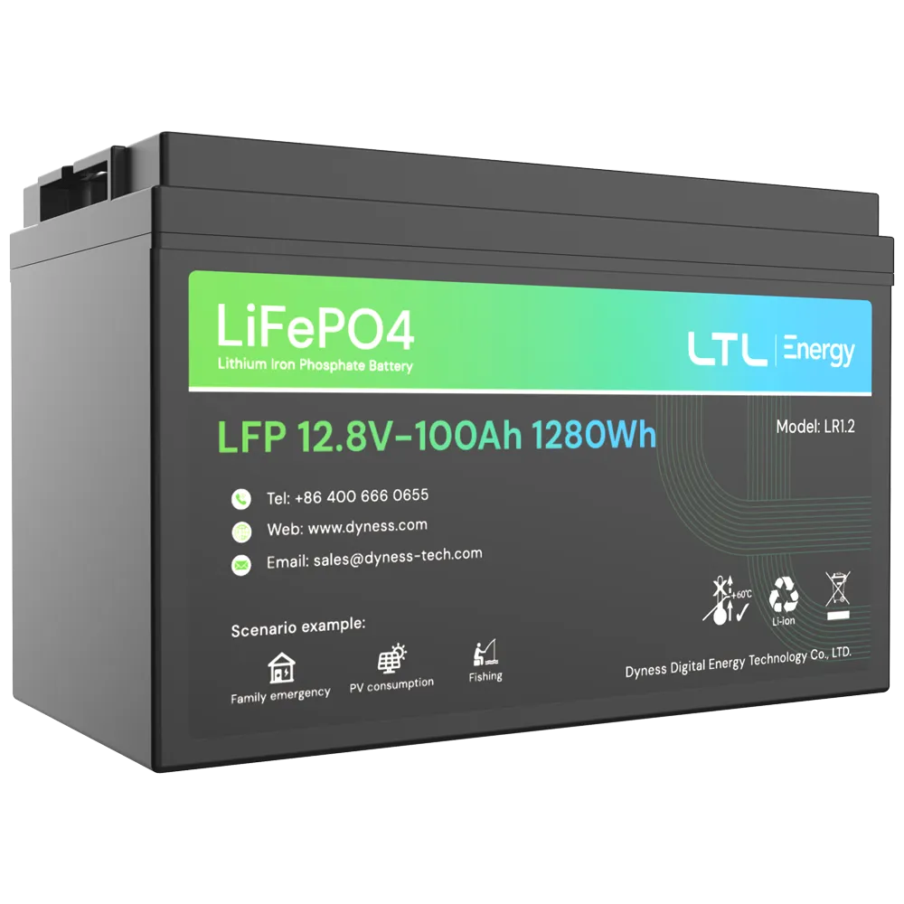 Batería LiFePO4 12V 100Ah DY-AR-1200 para Centrales Incendio