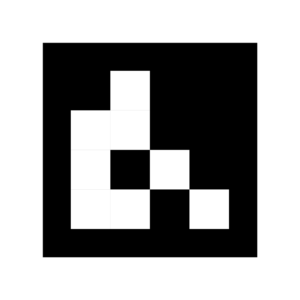 Cámara vehículo Accesorio - Compatible con Streamax (ST-CARPET-OEM)