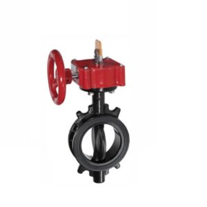 Válvula mariposa acople bridas 2 finales de carrera