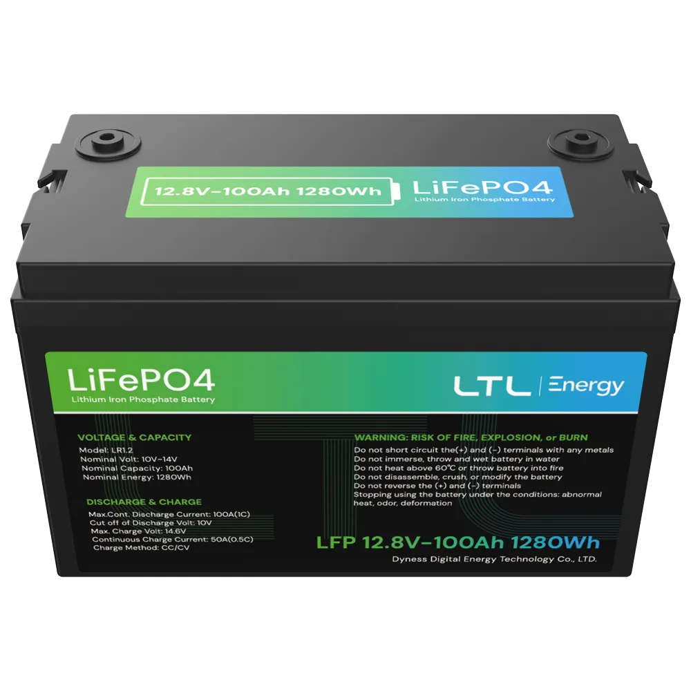 Batería LiFePO4 12V 100Ah DY-AR-1200 para Centrales Incendio