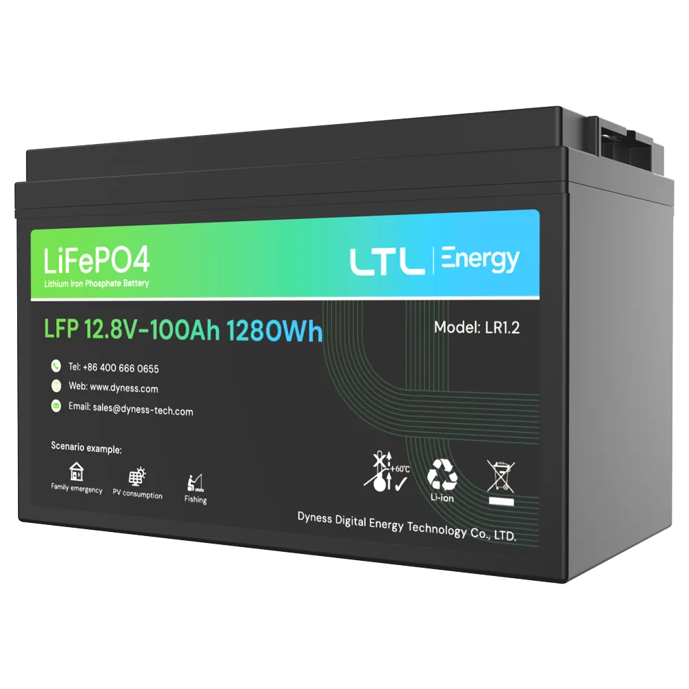Batería LiFePO4 12V 100Ah DY-AR-1200 para Centrales Incendio
