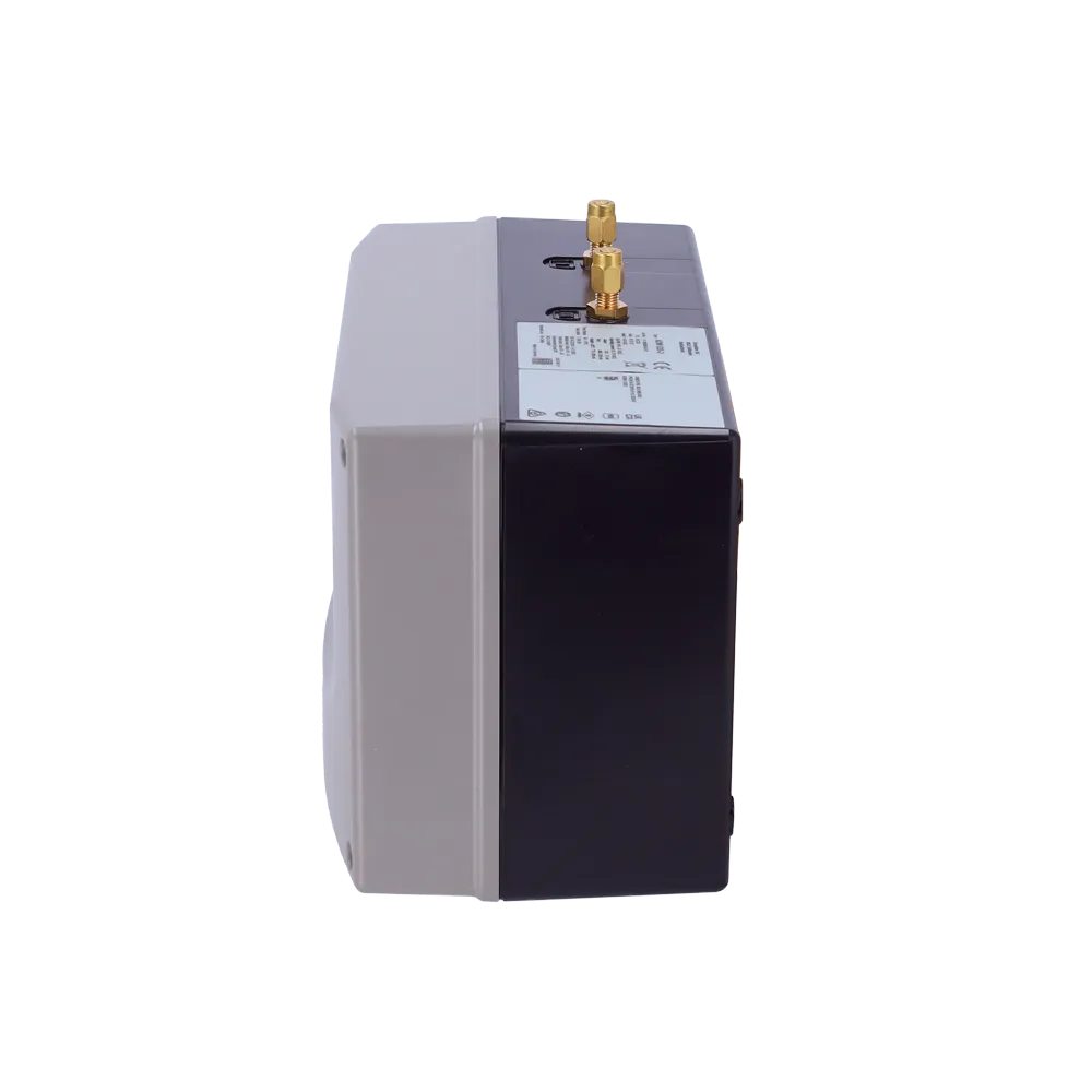 Detector Térmico Lineal Rearmable ADW535-2 para 2 Tubos