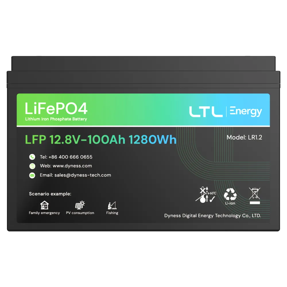Batería LiFePO4 12V 100Ah DY-AR-1200 para Centrales Incendio