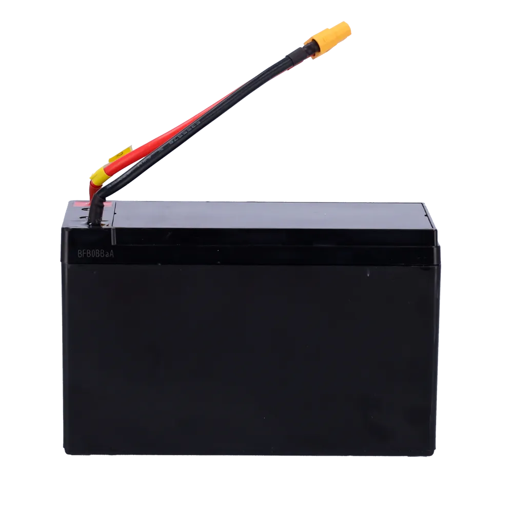 Batería 12V 9Ah FPUBBY para Generadores de Niebla URFOG