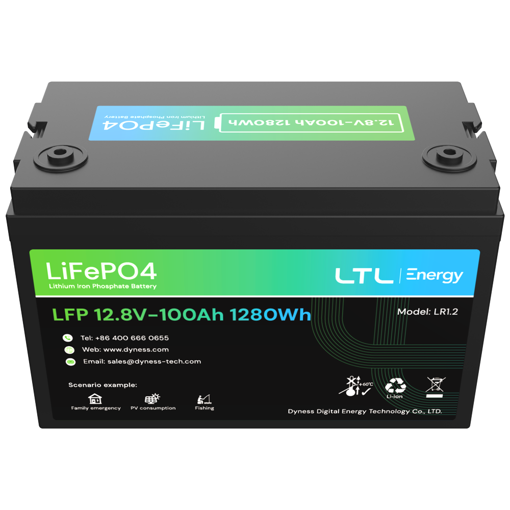 Batería 12V 100Ah (DY-AR-1200) - Imagen 5