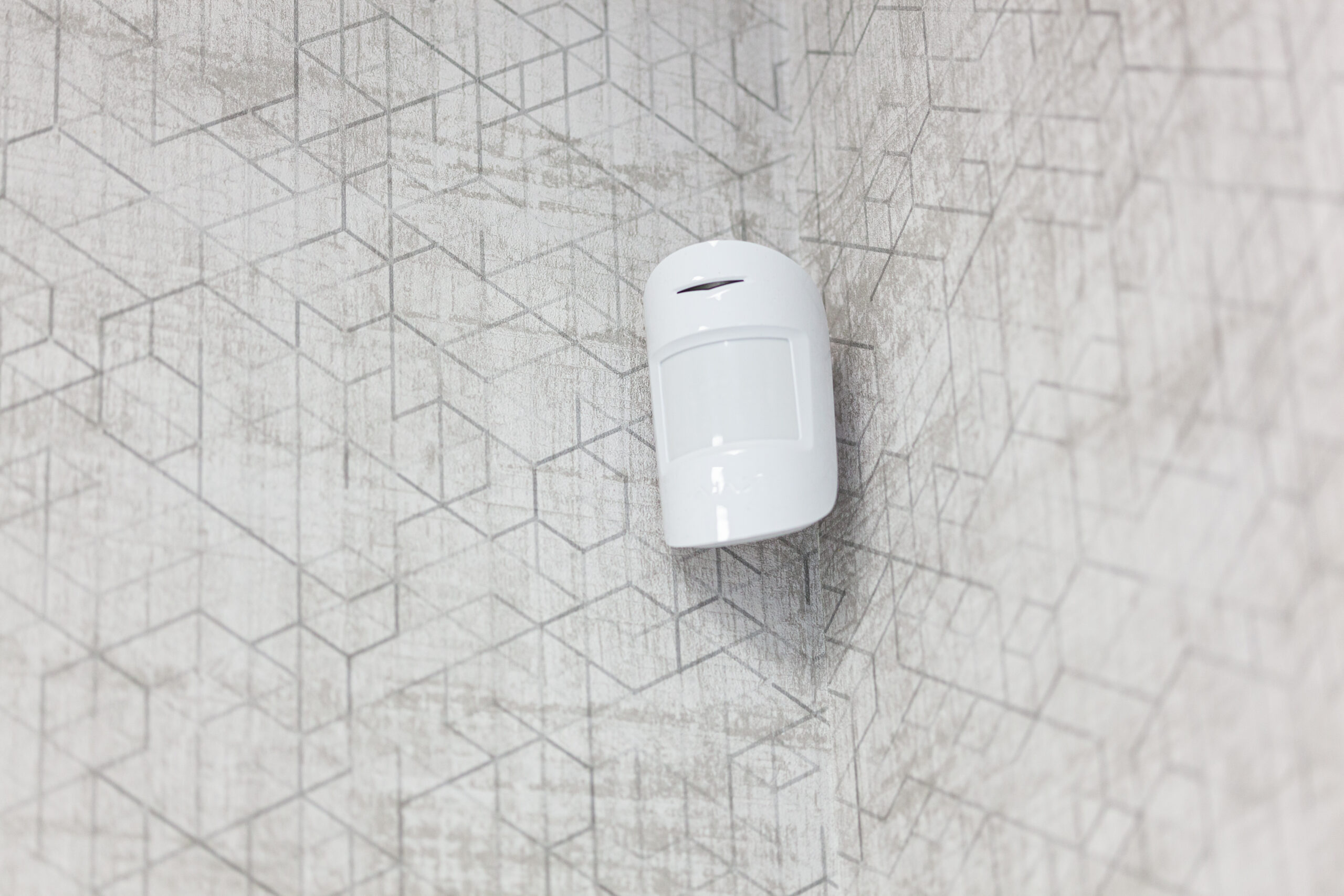 Detectores Intrusión