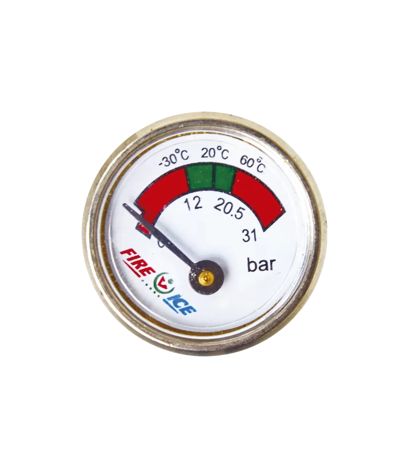 Manómetro Ø23 mm de repuesto para extintor hídrico serie FI W30 - Ref. FIRW30IPH