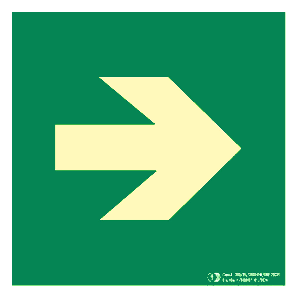 Flecha de evacuación derecha