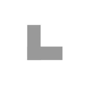 form L