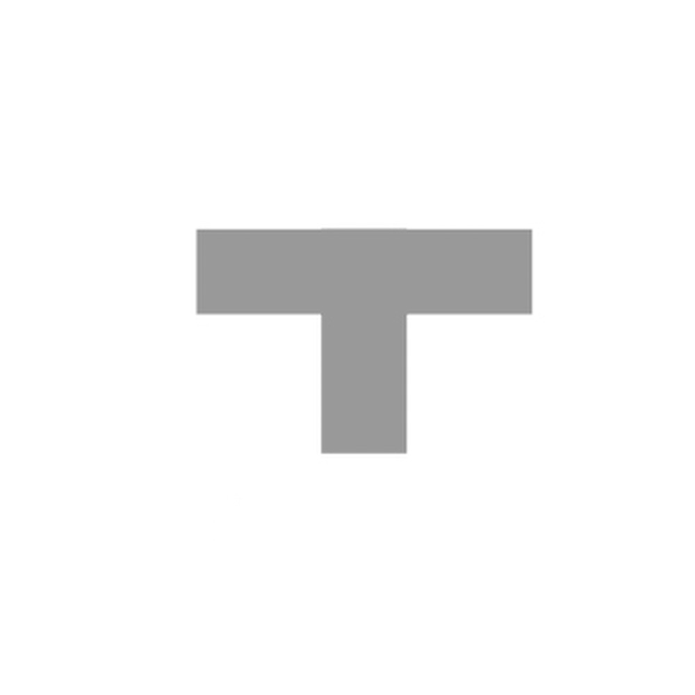 form T