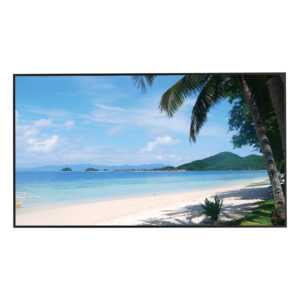 Dahua LM55-S400-SE-V1 Monitor 55" 4K para Seguridad 24/7
