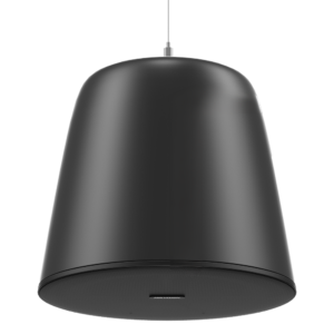 Hikvision DS-QAZ0530G1/BLACK Altavoz Analógico Colgante 30 W