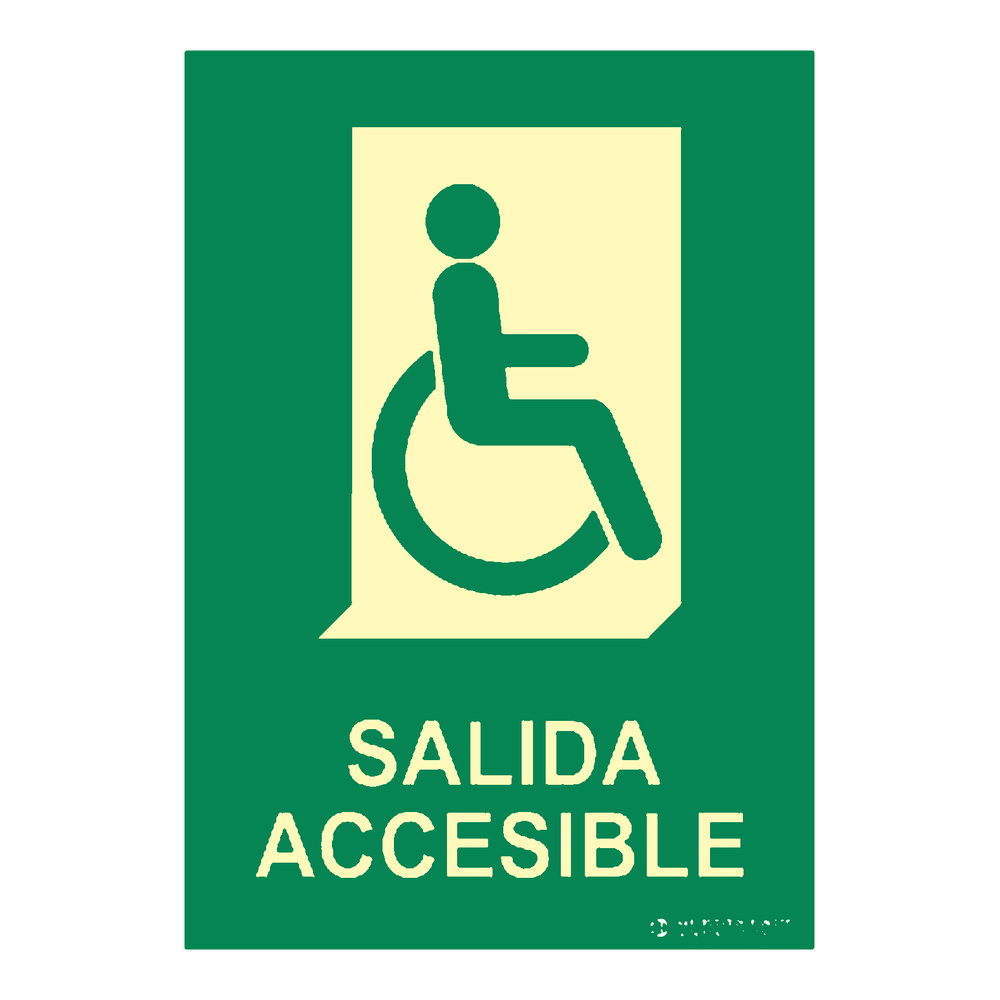 Señal fotoluminiscente salida accesible rectangular Clase B EYS-3100
